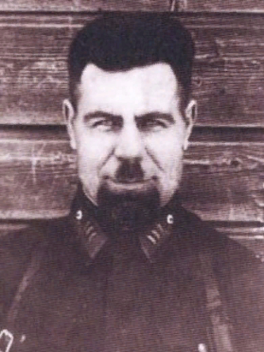 Александр Степанович Костицын