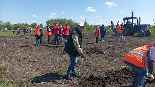 В Понырях прошла акция «Сад Памяти»