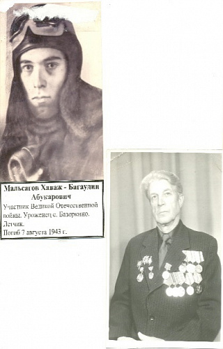 Хаваж-Багаудин Абукарович Мальсагов